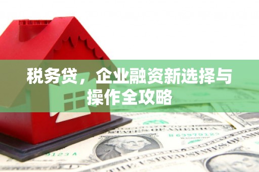 九龙城税务贷，企业融资新选择与操作全攻略