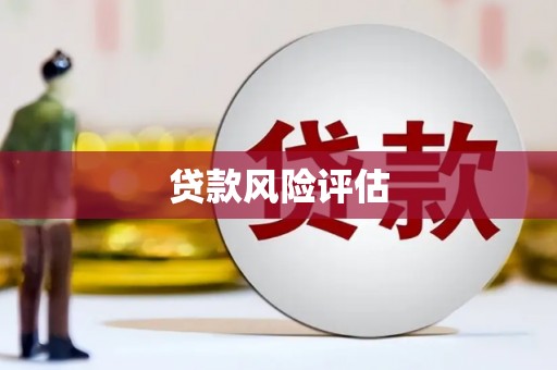 思茅贷款风险评估