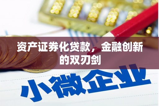 巧家资产证券化贷款，金融创新的双刃剑