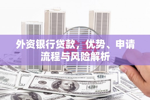 特克斯外资银行贷款，优势、申请流程与风险解析