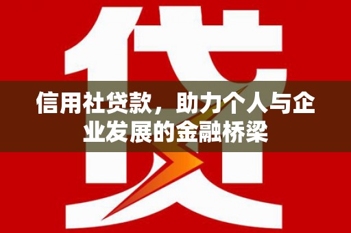 南开信用社贷款，助力个人与企业发展的金融桥梁
