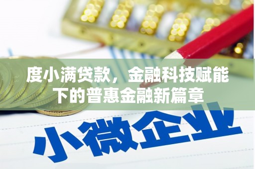 龙岗度小满贷款，金融科技赋能下的普惠金融新篇章