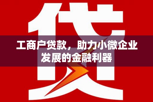 花地玛堂区工商户贷款，助力小微企业发展的金融利器