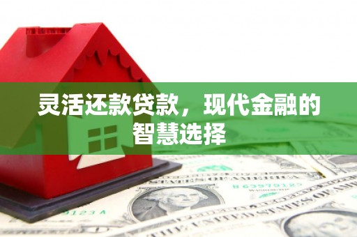 苓雅灵活还款贷款，现代金融的智慧选择