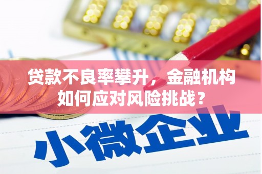 安定贷款不良率攀升，金融机构如何应对风险挑战？