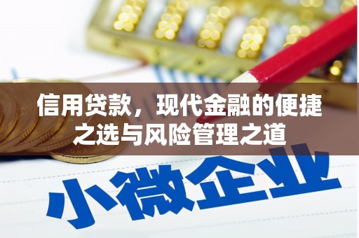 桑日信用贷款，现代金融的便捷之选与风险管理之道