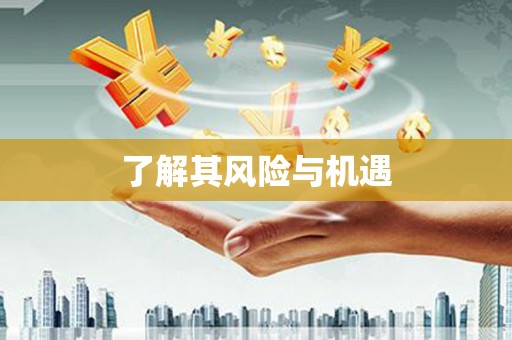 桃城了解其风险与机遇
