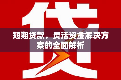 洛扎短期贷款，灵活资金解决方案的全面解析