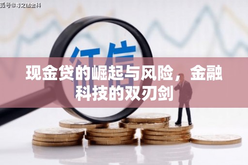 浔阳现金贷的崛起与风险，金融科技的双刃剑
