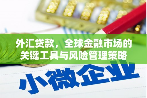 浦江外汇贷款，全球金融市场的关键工具与风险管理策略