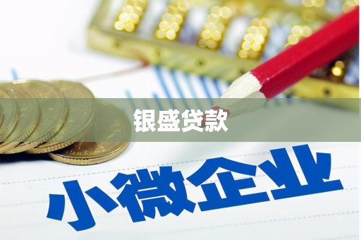 勉县银盛贷款