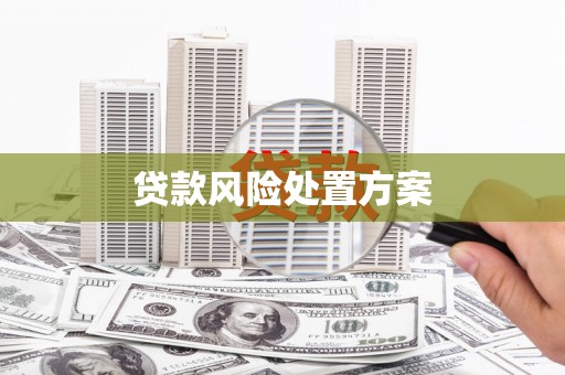 灌阳贷款风险处置方案