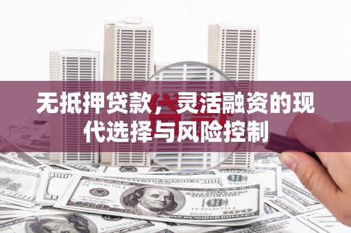 崇明无抵押贷款，灵活融资的现代选择与风险控制