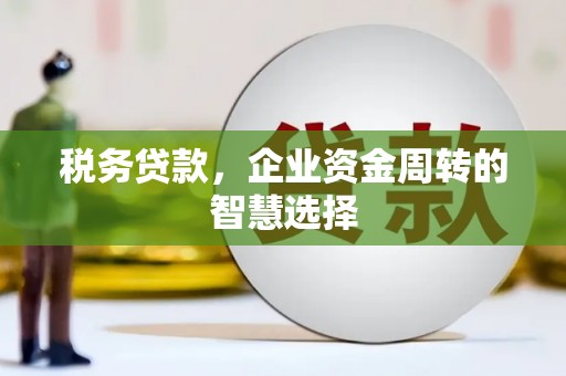 磐安税务贷款，企业资金周转的智慧选择