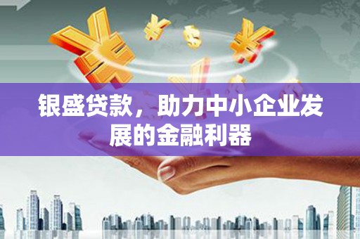 太麻里银盛贷款，助力中小企业发展的金融利器