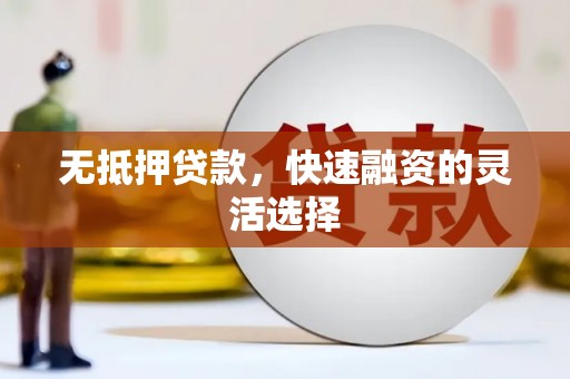 无极无抵押贷款，快速融资的灵活选择