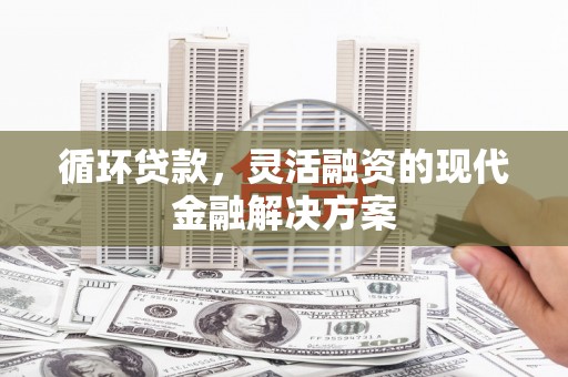 正阳循环贷款，灵活融资的现代金融解决方案