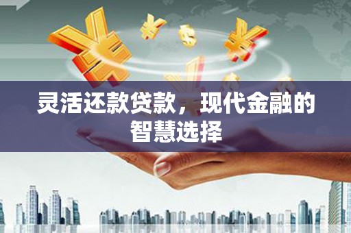 贵定灵活还款贷款，现代金融的智慧选择