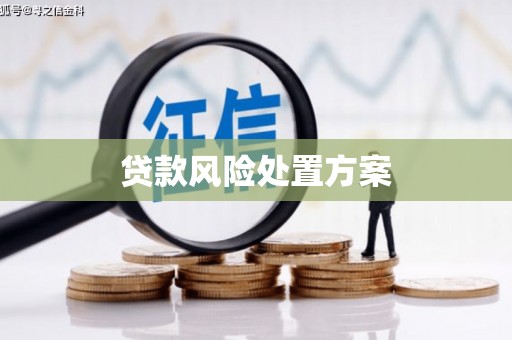 周口贷款风险处置方案