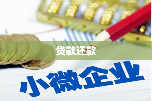 临沂贷款还款
