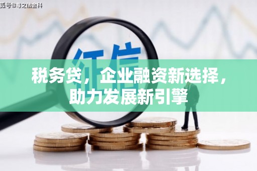 花莲税务贷，企业融资新选择，助力发展新引擎