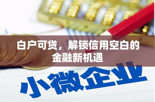 禅城白户可贷，解锁信用空白的金融新机遇