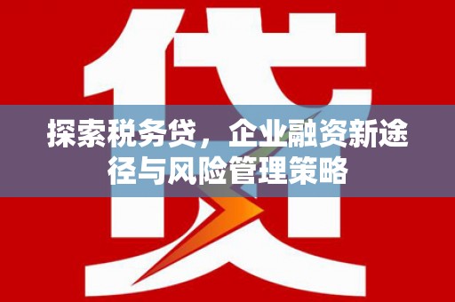 抚州探索税务贷，企业融资新途径与风险管理策略