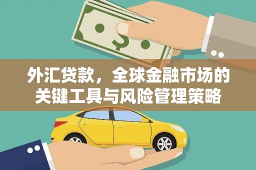 林芝外汇贷款，全球金融市场的关键工具与风险管理策略