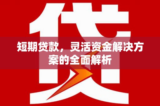 汝南短期贷款，灵活资金解决方案的全面解析