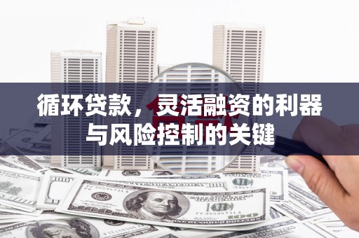 汝阳循环贷款，灵活融资的利器与风险控制的关键