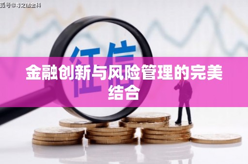 贡寮金融创新与风险管理的完美结合