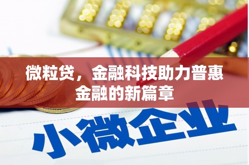 玛纳斯微粒贷，金融科技助力普惠金融的新篇章