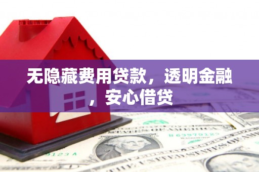 大化无隐藏费用贷款，透明金融，安心借贷