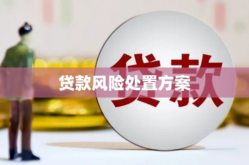 民勤贷款风险处置方案