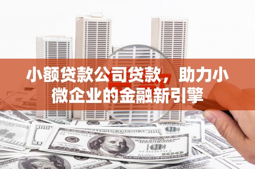 镇原小额贷款公司贷款，助力小微企业的金融新引擎