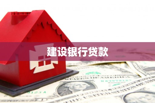 朔城建设银行贷款