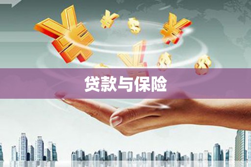普湾新区贷款与保险