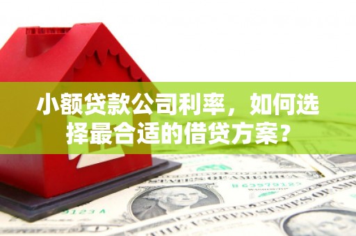 来宾小额贷款公司利率，如何选择最合适的借贷方案？