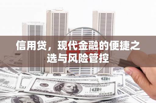 江南信用贷，现代金融的便捷之选与风险管控