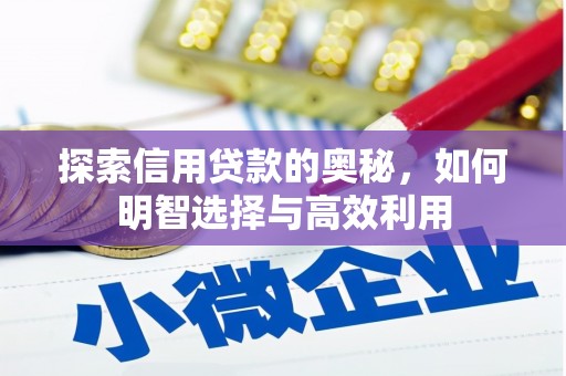 惠来探索信用贷款的奥秘，如何明智选择与高效利用