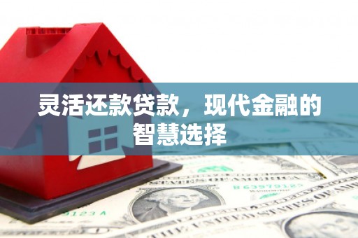曾都灵活还款贷款，现代金融的智慧选择