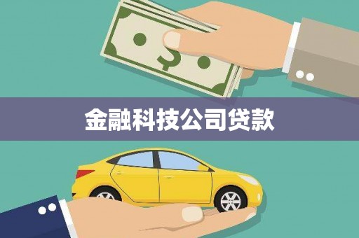 治多金融科技公司贷款