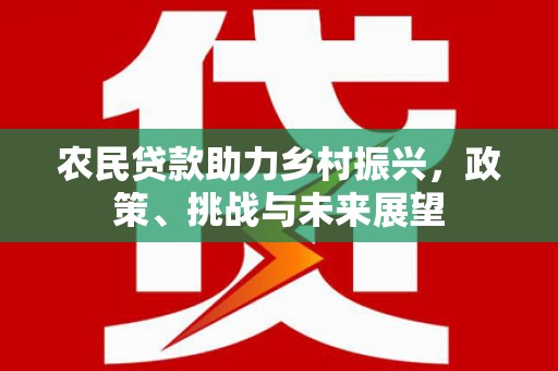 永嘉农民贷款助力乡村振兴，政策、挑战与未来展望