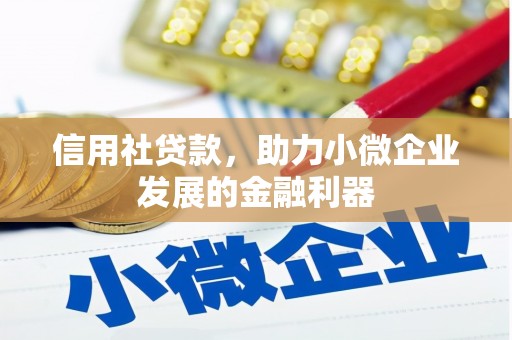 木垒信用社贷款，助力小微企业发展的金融利器