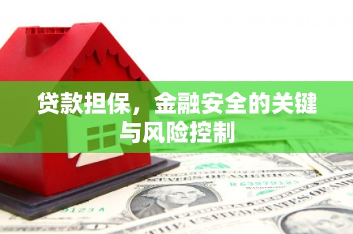 定西贷款担保，金融安全的关键与风险控制