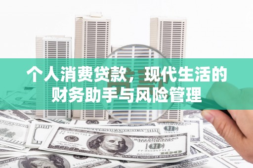 林园个人消费贷款，现代生活的财务助手与风险管理