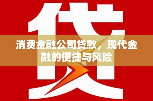 南海消费金融公司贷款，现代金融的便捷与风险