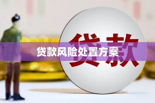 利辛贷款风险处置方案