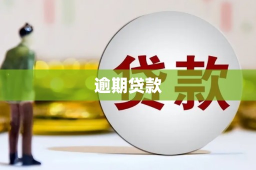 海原逾期贷款