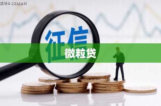 五峰微粒贷